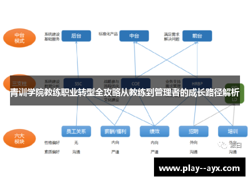 青训学院教练职业转型全攻略从教练到管理者的成长路径解析